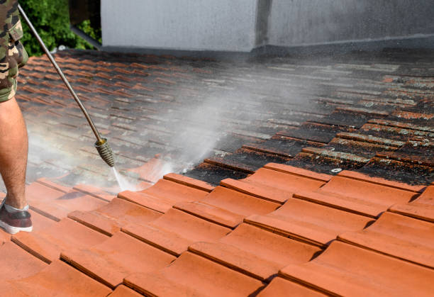 Best Pressure Washing Near Me  in Thomasboro, IL