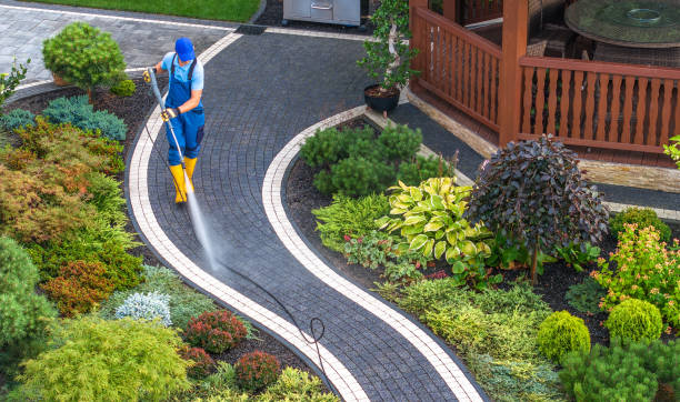 Best Exterior Home Cleaning  in Thomasboro, IL